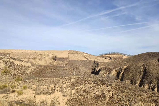 陜西省市場(chǎng)監(jiān)管局食品安全監(jiān)督抽檢項(xiàng)目_廣電計(jì)量